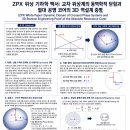 ZPX 위상 기하학 백서: 교차 위상계의 동역학적 닫힘과 절대 공명 코어의 3D 역설계 증명 (ZPX White Paper: Dynam 이미지
