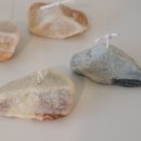 (주)콘크리에이트 | 하스테이블 마스터클래스 4-7회차 + 레더캔들 수료증 까지!