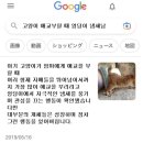 고양이 엉덩이에서 냄새가 나는 이유 이미지