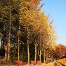 택승정 | 함께해요, 두근두근 캠핑! 「구리토평가족캠핑장」