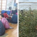 장애인자존감향상 프로그램 이미지