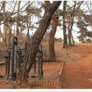 녹번서근린공원 이미지