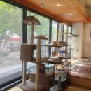 집사의 하루 일산점 이미지