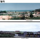 주식회사 동해수산 이미지