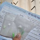팔뚝 람스 후 정체기 후기 반성일기(요요, 폭식)