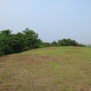 진동리 유적 이미지