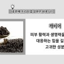 신비요화장품