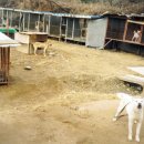 전의농장 이미지