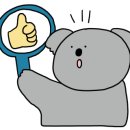 으뜸플러스안경 응암점 이미지