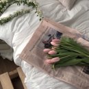 트램폴린파크 이미지