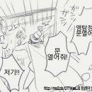 카이신번역