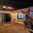 가온누리 게스트하우스 | 제주 월정리 신상 게스트하우스 깔끔한데 할머니집 느낌 사장님들 푸근해... [우리들의 월정리]