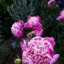 진천공예사업협동조합 이미지