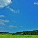 서강목장 이미지