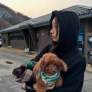 제이혜리 이미지