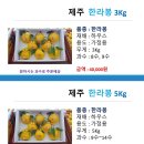 (제주옥림) 제주 한라봉 5Kg 부터 이미지