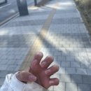 앙떼떼네일