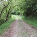 용남면사무소 이미지