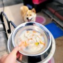 24시무인애견간식&용품아무도없개 - 관악구 쑥고개로11길 41 | 24시무인애견간식&용품아무도없개
