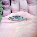 독립-16-05 이미지