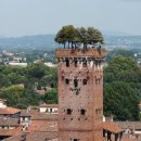 정원사진관 이미지