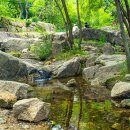 함양군청 본관 앞 | 7월 가볼 만한 곳…풍류가 깃든 계곡 5곳