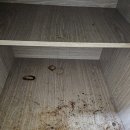 시티빌 | 보이지 않는 먼지까지 완벽하게! 마산원룸청소 (대은시티빌) 시공 후기