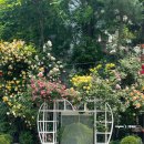 GS25 연남공원 이미지