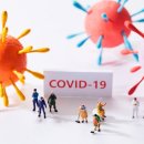 나는 코딩왕 이미지