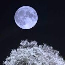 보름달 이미지