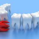 세종드림치과의원 이미지