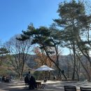 스테이수목 이미지