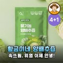 속쓰림 위염 이제 그만! 황금이네 국내산 유기농 양배추즙 솔직 후기