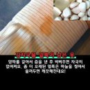 세탁인생 이미지