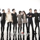 러브홀릭 이미지