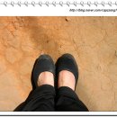 쌍둥이네흙집 이미지