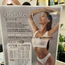 리더스짐 | 광교피부관리 리더스빈 온다리셋 1회 브이라인 내돈내산