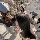 태연팜 | 조슈아트리 • 마이리얼트립 여구가 별명투어