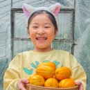 2024 포항국제불꽃축제 불빛 명당 주차 사진 후기 드론 우천