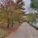 경기둘레길 김포57코스 이미지