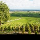 승진목장 이미지