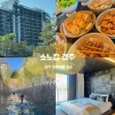 경주 여행 숙소 추천! 아이와 다녀온 소노캄 경주 디럭스 스위트A 내돈내산 후기