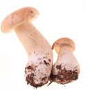 단전호흡 이미지