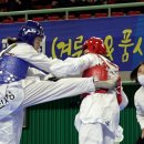 태극태권도체육관 이미지