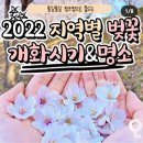 2022년 지역별 벚꽃개화시기&명소 이미지