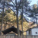 콘테이너 세차장 | 캠핑에어건 추천 ㅣ카코컨테이너 무선에어건 ㅣ필드 테스트 후기