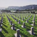 국립서울현충원 이미지