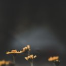 시흥경희대태권도장