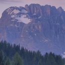 다래한방병원 이미지