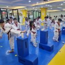 월드스타클래스태권도장 이미지